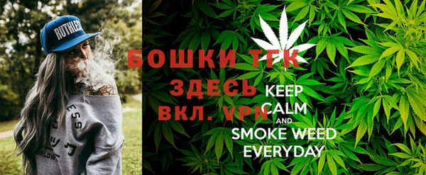 ECSTASY Гусев