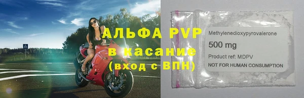 ECSTASY Гусев