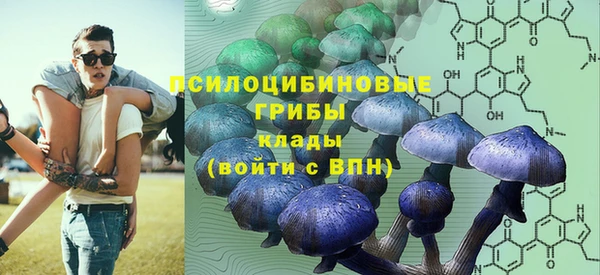 ALPHA-PVP Гусь-Хрустальный