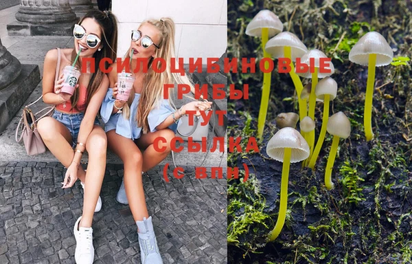 MESCALINE Гусиноозёрск