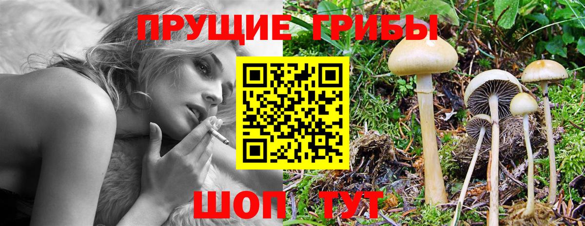 Псилоцибиновые грибы ЛСД Усолье-Сибирское